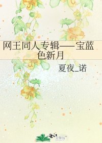 《网王同人专辑——宝蓝色新月》