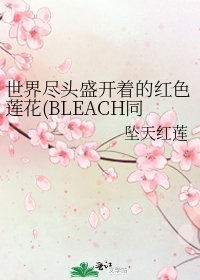 《世界尽头盛开着的红色莲花(BLEACH同人)》