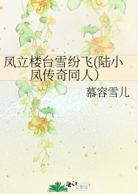 《凤立楼台雪纷飞(陆小凤传奇同人)》