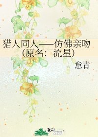 猎人同人——仿佛亲吻（原名：流星）