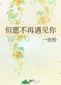 《但愿不再遇见你》