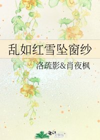 乱如红雪坠窗纱