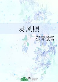 《灵风照》