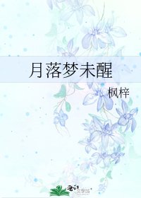 《月落梦未醒》