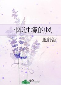 《一阵过境的风》