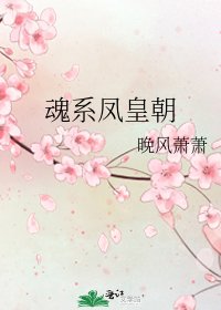《魂系凤皇朝》