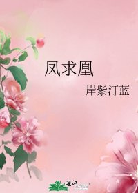 《凤求凰》