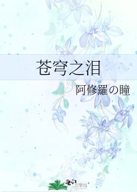 《苍穹之泪》