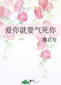 《爱你就要气死你》