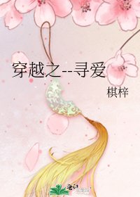 《穿越之--寻爱》