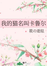 《我的猫名叫卡鲁尔》