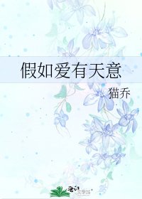 《假如爱有天意》