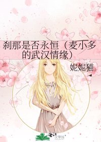 刹那是否永恒（麦小多的武汉情缘）