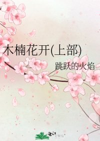 《木楠花开(上部)》
