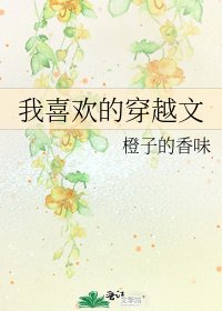 《我喜欢的穿越文》