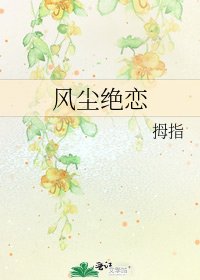 《风尘绝恋》