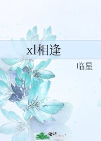 《xl相逢》