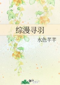 《综漫寻羽》