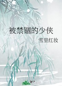被禁锢的少侠