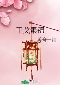 《干戈素锦》