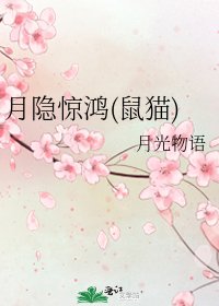 月隐惊鸿(鼠猫)