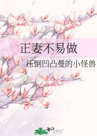 《正妻不易做》