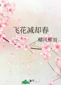 《飞花减却春》