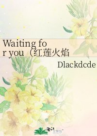 《Waiting for you(红莲火焰x镜子骑士)》