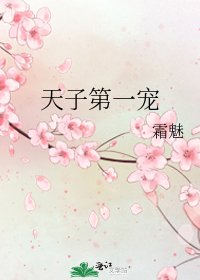 《天子第一宠》