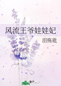 风流王爷娃娃妃