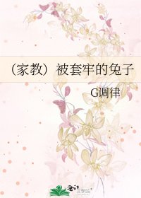 《(家教)被套牢的兔子》