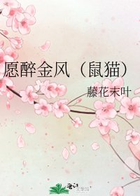 《愿醉金风(鼠猫)》
