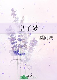 皇子梦