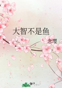 大智不是鱼