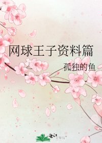 网球王子资料篇