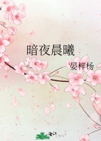 《暗夜晨曦》