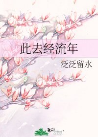 《此去经流年》