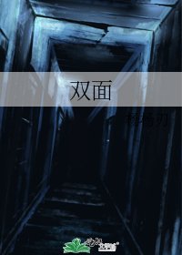 双面