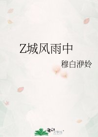 《Z城风雨中》