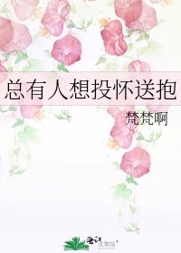 《总有人想投怀送抱》