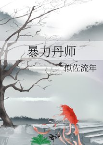 《暴力丹师》