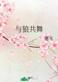 《与狼共舞》