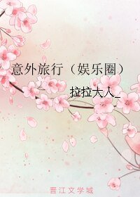 意外旅行（娱乐圈）