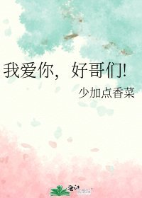 《我爱你,好哥们!》