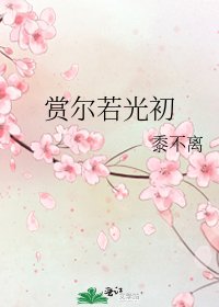 《赏尔若光初》
