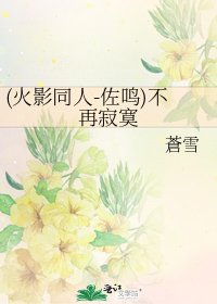 《(火影同人-佐鸣)不再寂寞》