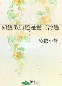 《如狼似狐还是爱(冷追)》