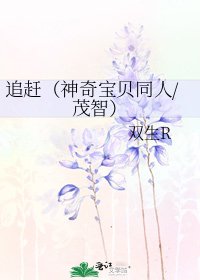 《追赶(神奇宝贝同人/茂智)》