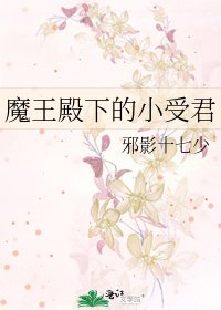 《魔王殿下的小受君》