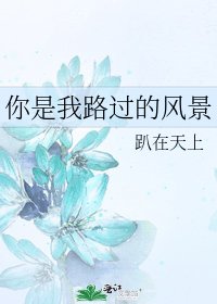 《你是我路过的风景》